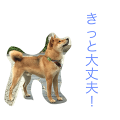 [LINEスタンプ] Love Riki
