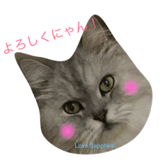 [LINEスタンプ] I love Sapphire