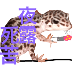 [LINEスタンプ] こひろスタンプ 3