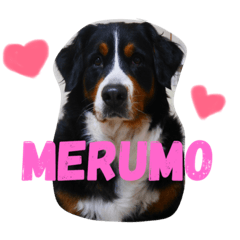 [LINEスタンプ] めるも
