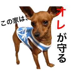 [LINEスタンプ] ミチオ青春記