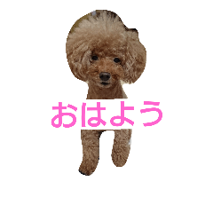 [LINEスタンプ] EightkunRight