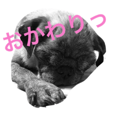 [LINEスタンプ] tancoco2