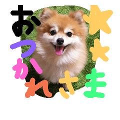 [LINEスタンプ] cutedog8212