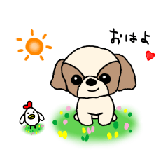 [LINEスタンプ] シーズー スタンプ YDK