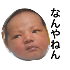 [LINEスタンプ] よしだきっず