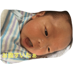 [LINEスタンプ] はるぴこ