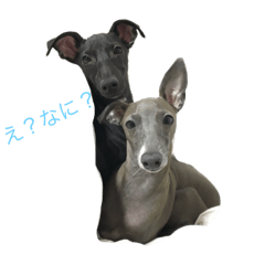 [LINEスタンプ] イタグレアロー