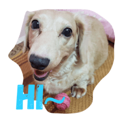 [LINEスタンプ] QQ so cute