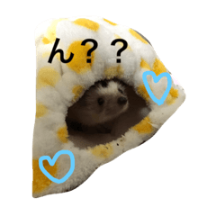 [LINEスタンプ] ハリネズミのチーズさん