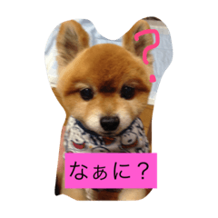 [LINEスタンプ] 可愛いレオンやで
