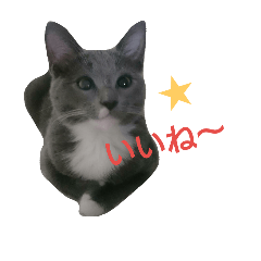 [LINEスタンプ] ロンのきもち