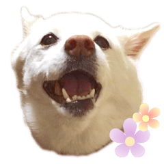 [LINEスタンプ] ひーたんすたんぷ