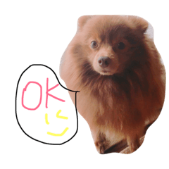 [LINEスタンプ] 我が家のワンコたちpart2