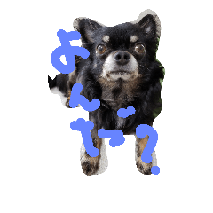 [LINEスタンプ] kotaroow