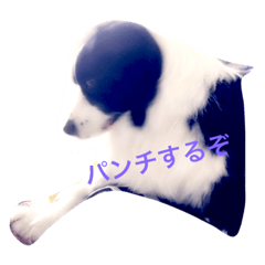 [LINEスタンプ] faith