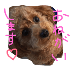 [LINEスタンプ] あずきちゃんスタンプ2