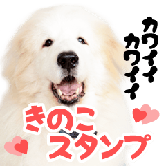 [LINEスタンプ] 可愛い可愛いきのこスタンプ