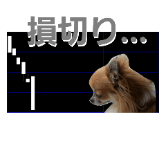 [LINEスタンプ] ロングコートチワワの投資＆相場スタンプ