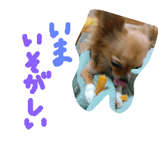 [LINEスタンプ] ここああああああ