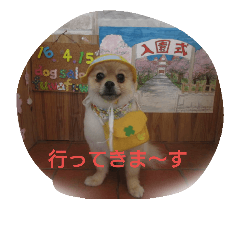[LINEスタンプ] 蒼空くんの日常