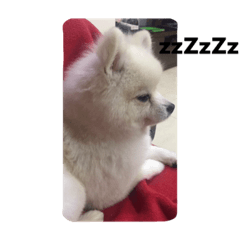 [LINEスタンプ] MiMiBaby