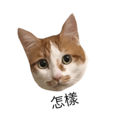 [LINEスタンプ] Shiu-lion！