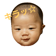 [LINEスタンプ] ゆずるスタンプ