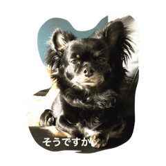 [LINEスタンプ] まんげつ丸
