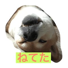 [LINEスタンプ] 紋次郎