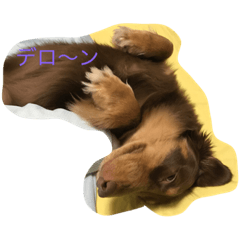 [LINEスタンプ] 癒され犬