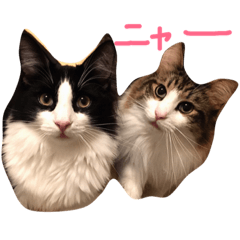 [LINEスタンプ] メル ☆ ノア  その2