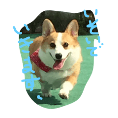 [LINEスタンプ] KINAKO to yukainanakamatachi