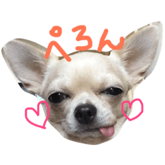 [LINEスタンプ] R＆L＆SOU