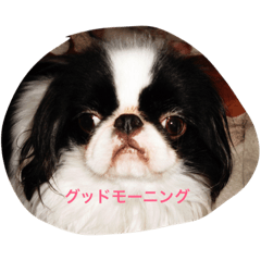 [LINEスタンプ] さとちんファミリー