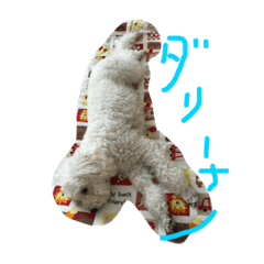 [LINEスタンプ] りょうくんの日常