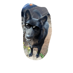 [LINEスタンプ] The black dog.