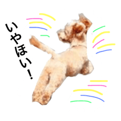 [LINEスタンプ] カルアンドモア