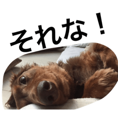 [LINEスタンプ] みるきなスタンプpart2