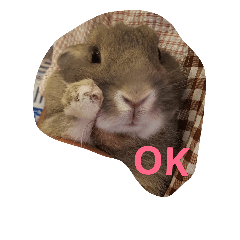 [LINEスタンプ] ラヴィさんのつぶやき