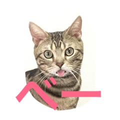 [LINEスタンプ] ミロと福