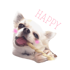 [LINEスタンプ] FAMILY PETS