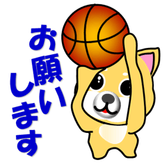柴犬のバスケットボール