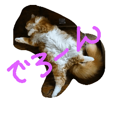[LINEスタンプ] トラ次郎、毎日スタンプ