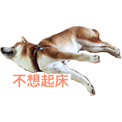 [LINEスタンプ] Shibabro