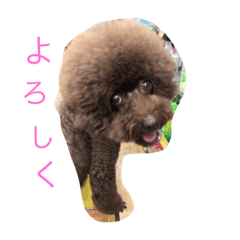 [LINEスタンプ] ms kelly2