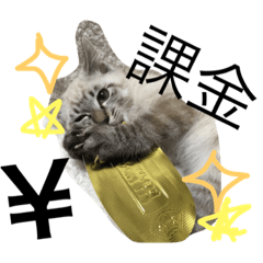[LINEスタンプ] シャムミックスのモコちゃん