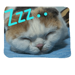 [LINEスタンプ] すこたん
