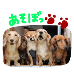 [LINEスタンプ] 使える！うむぎあくの生活