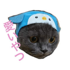 [LINEスタンプ] まるちゃんスタンプ #2